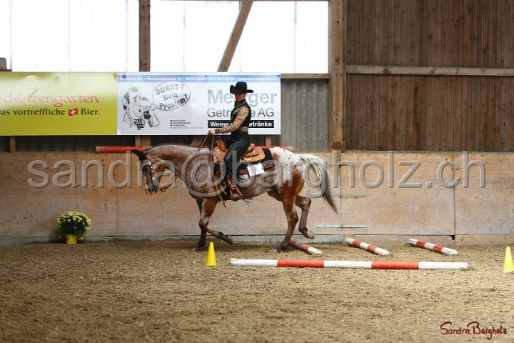 28-ApHC OT_210.jpg